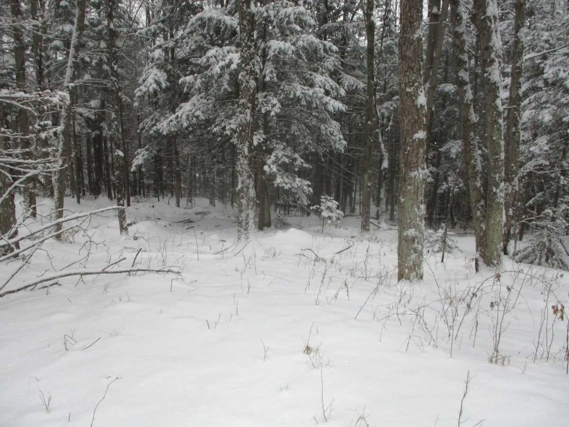 Lot 8 Sugar Ridge Lane Hyde Park VT 05655