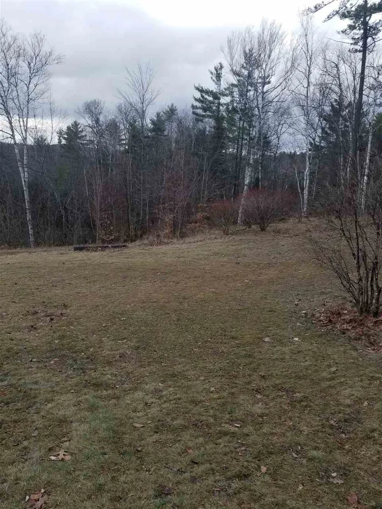 20 Tyler Way Bath NH 03740