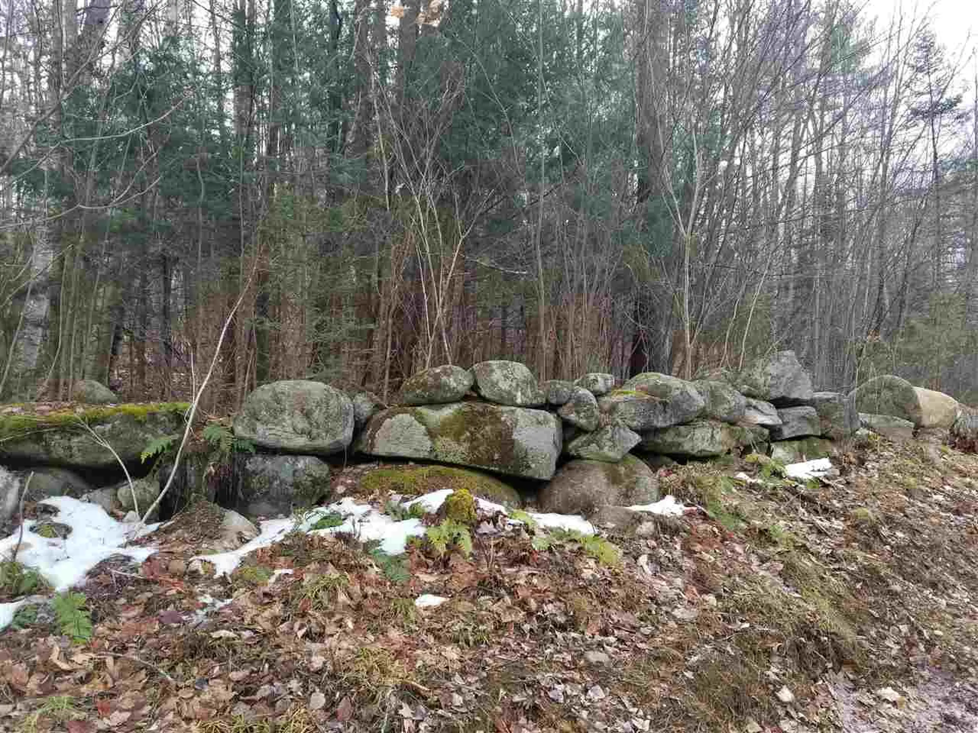 20 Tyler Way Bath NH 03740