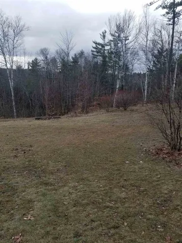 20 Tyler Way Bath NH 03740