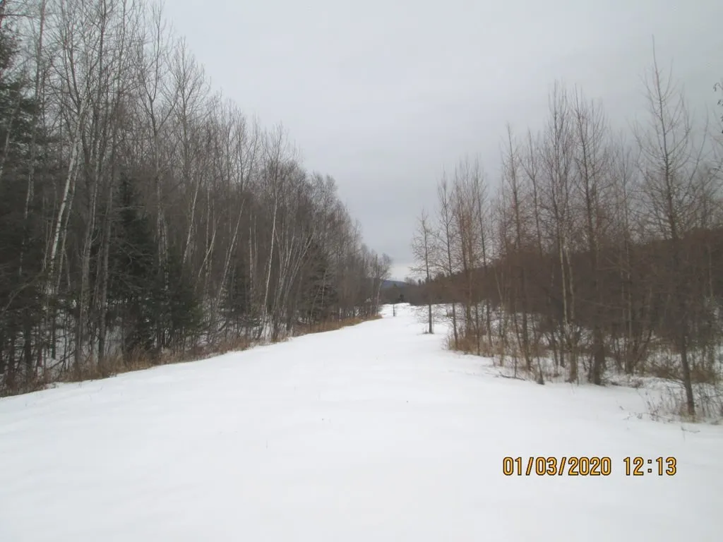 Lot 3 Vt Route 102 Bloomfield VT 05905
