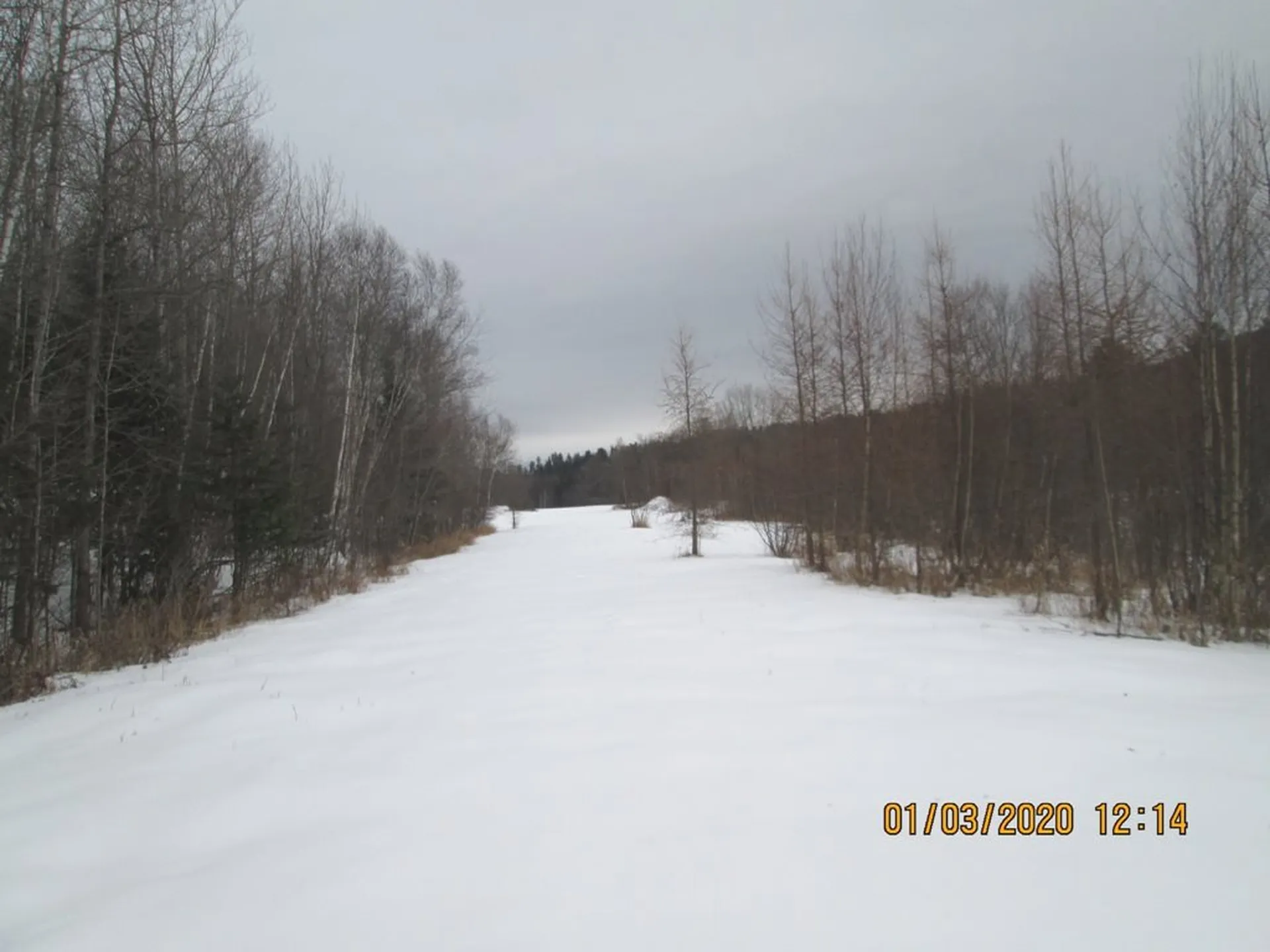 Lot 3 Vt Route 102 Bloomfield VT 05905