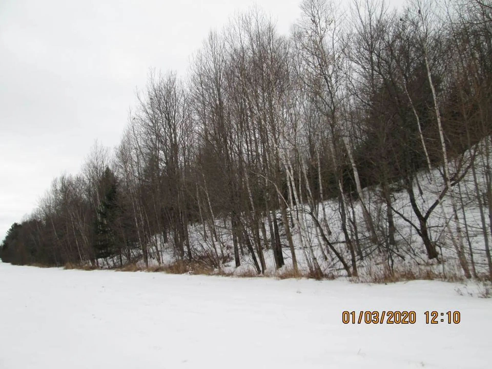 Lot 3 Vt Route 102 Bloomfield VT 05905