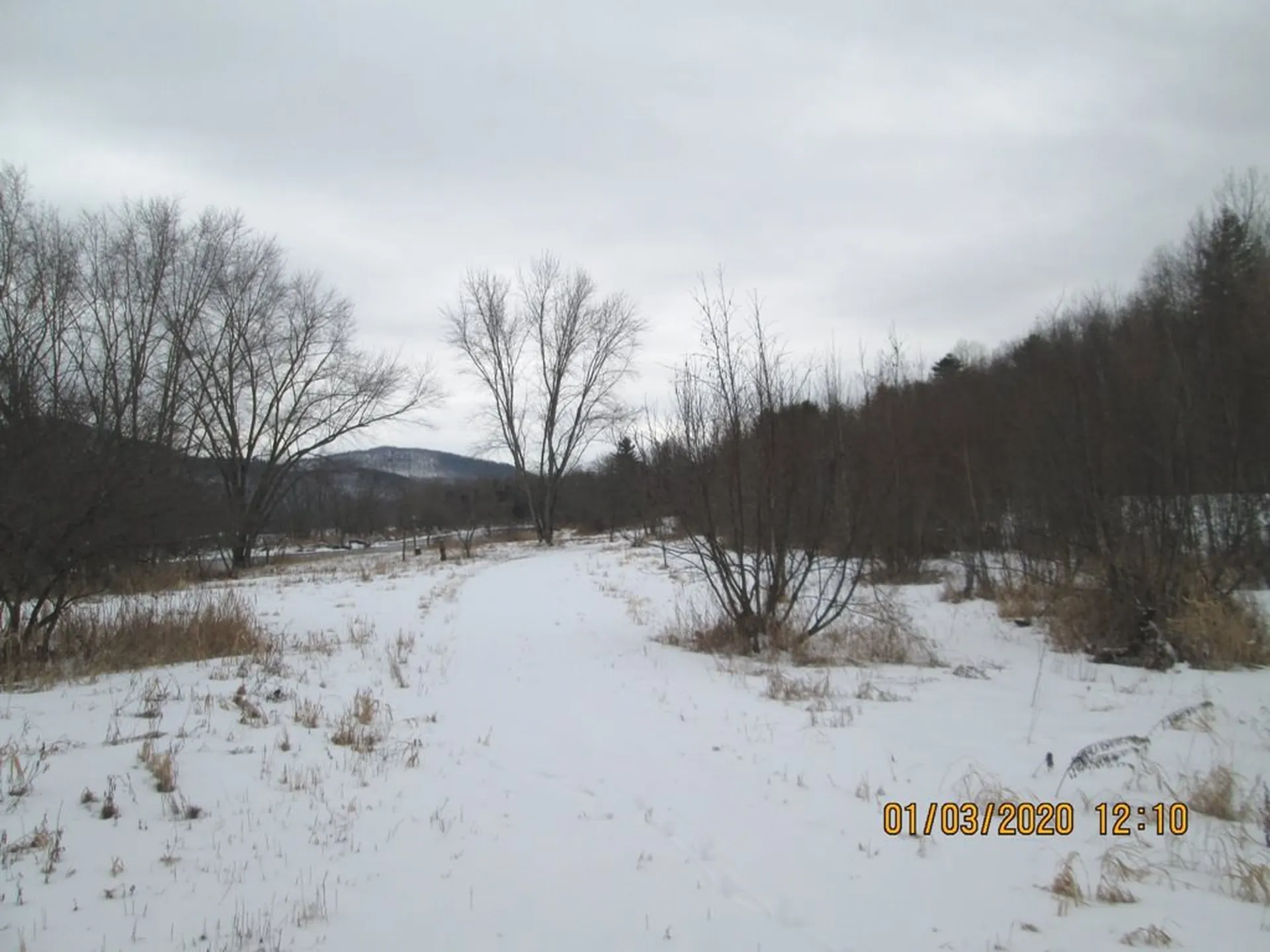 Lot 3 Vt Route 102 Bloomfield VT 05905