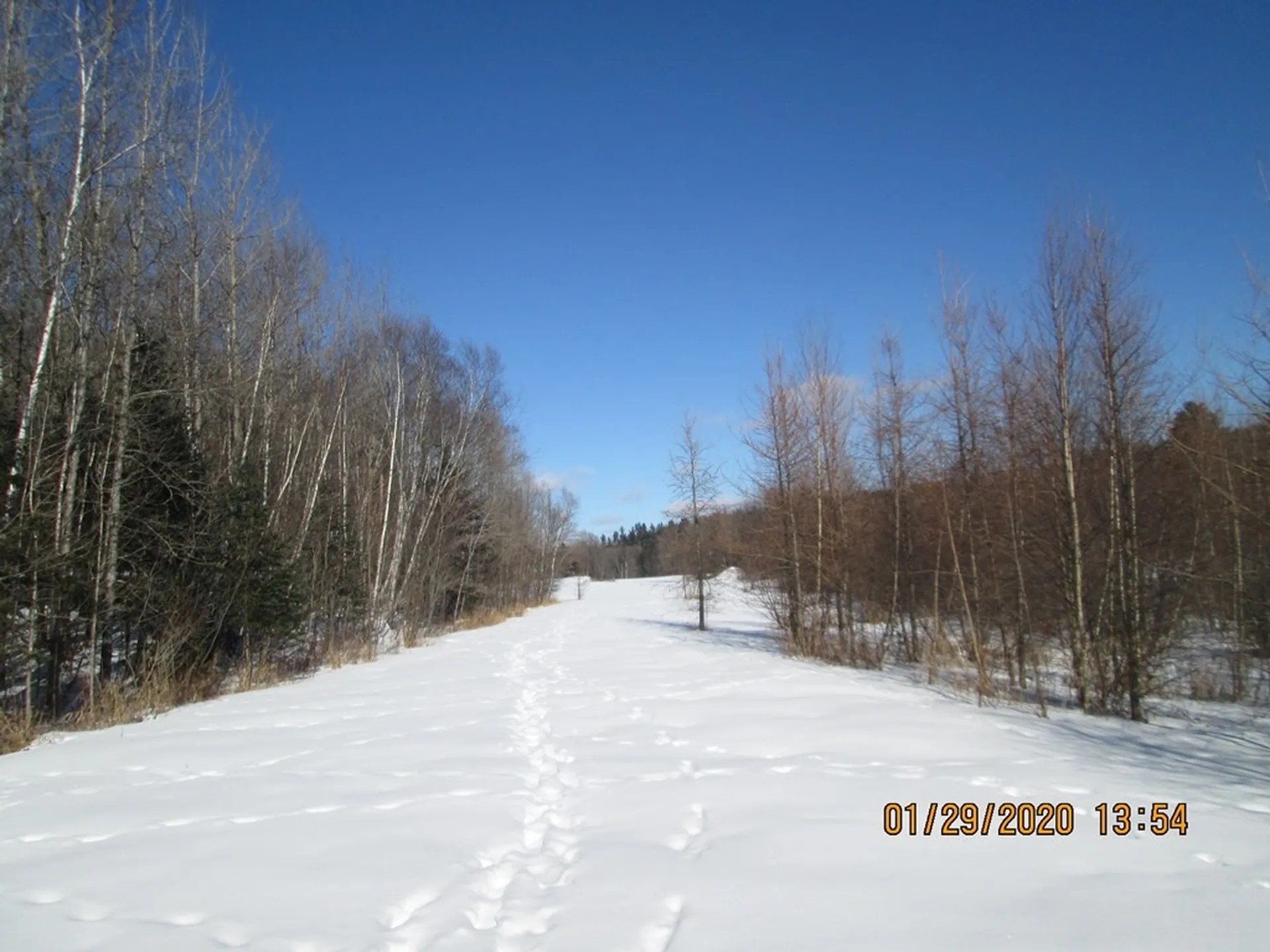 Lot 3 Vt Route 102 Bloomfield VT 05905