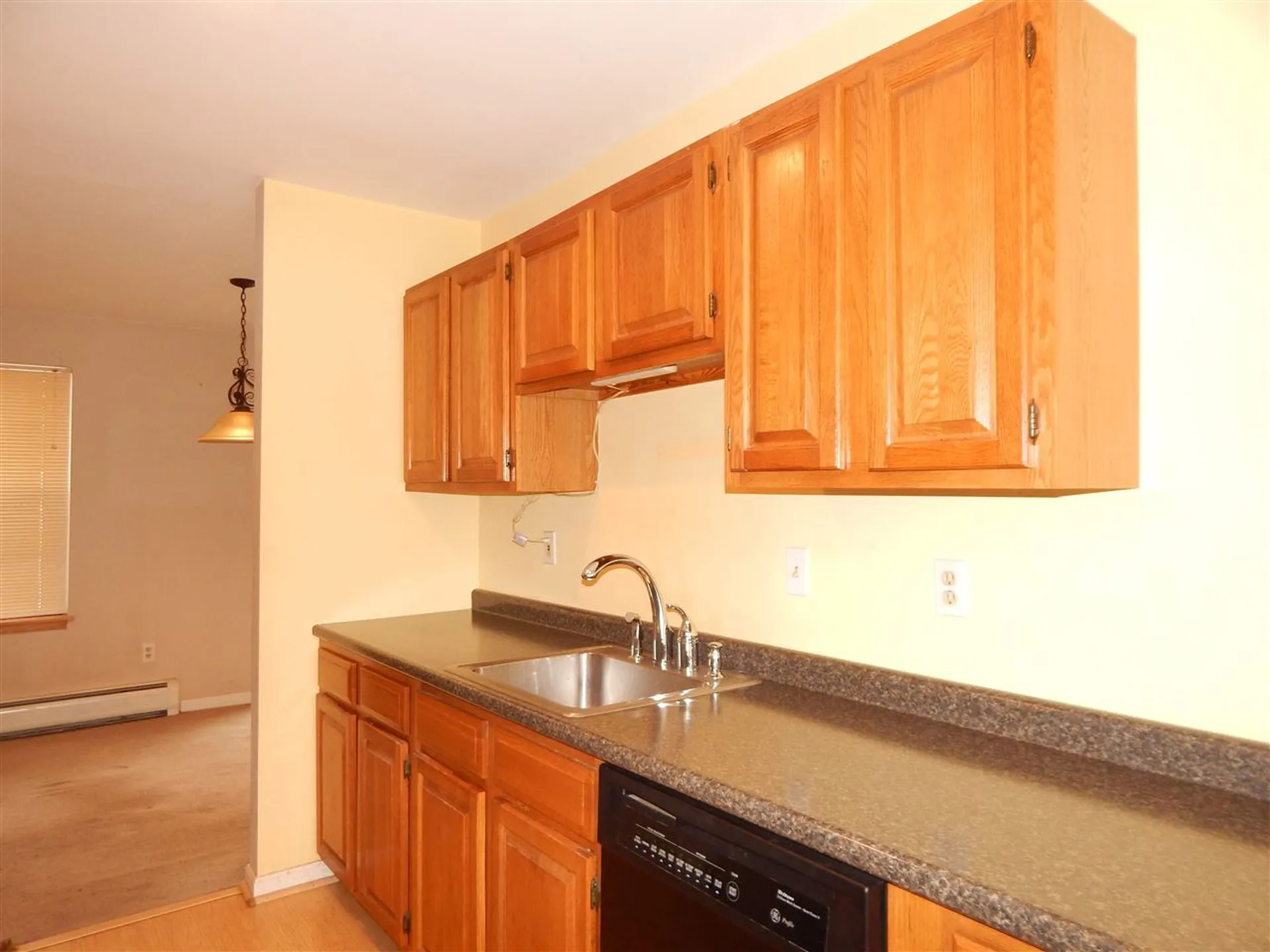 203 Deer Lane Colchester VT 05446