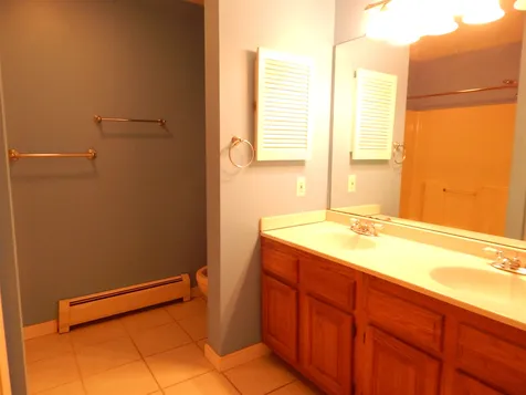 203 Deer Lane Colchester VT 05446