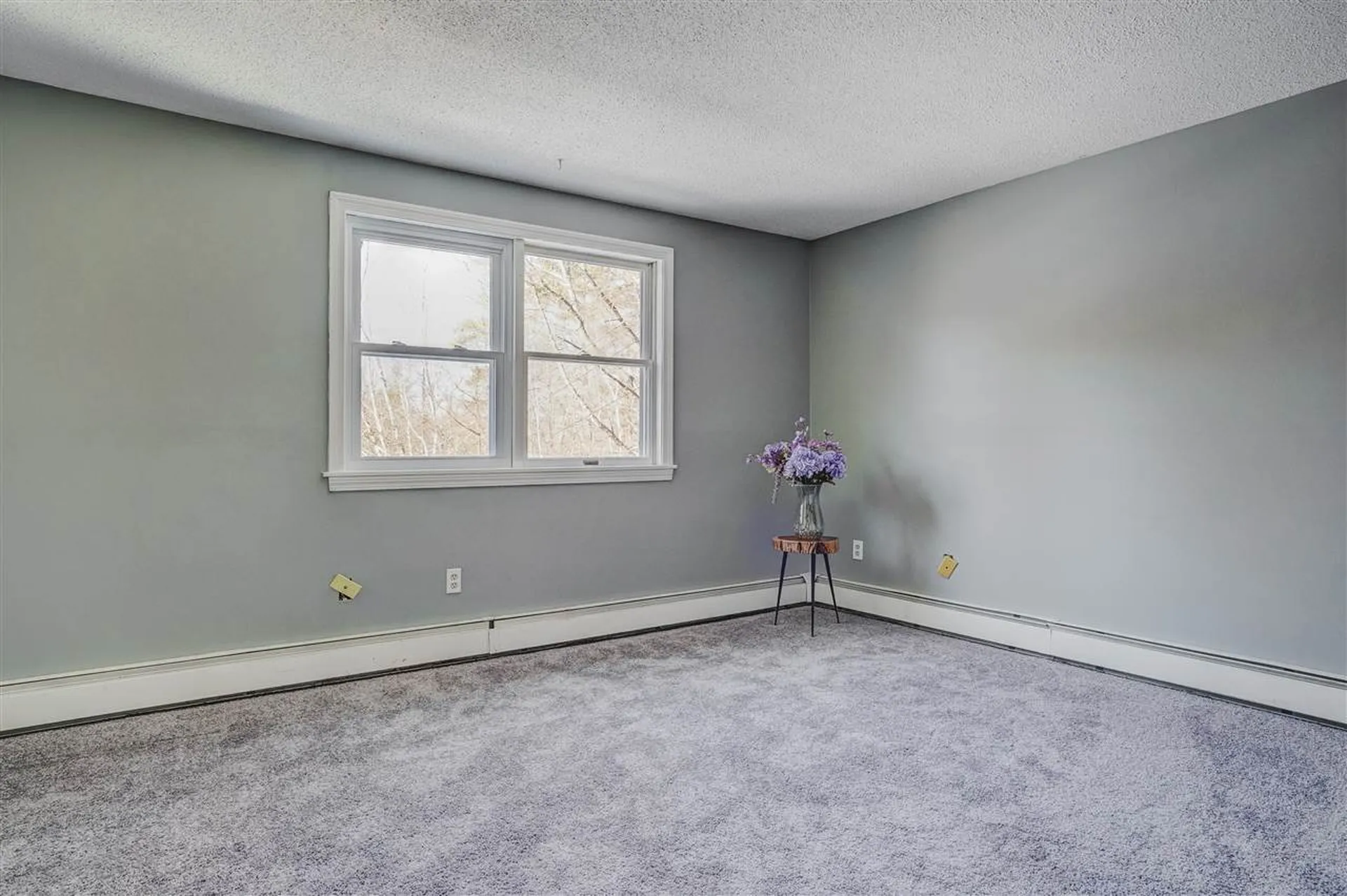 373 Clinton Road Antrim NH 03440
