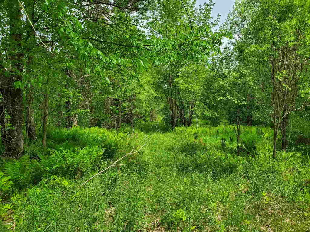 60 Kidder Road Bradford VT 05033