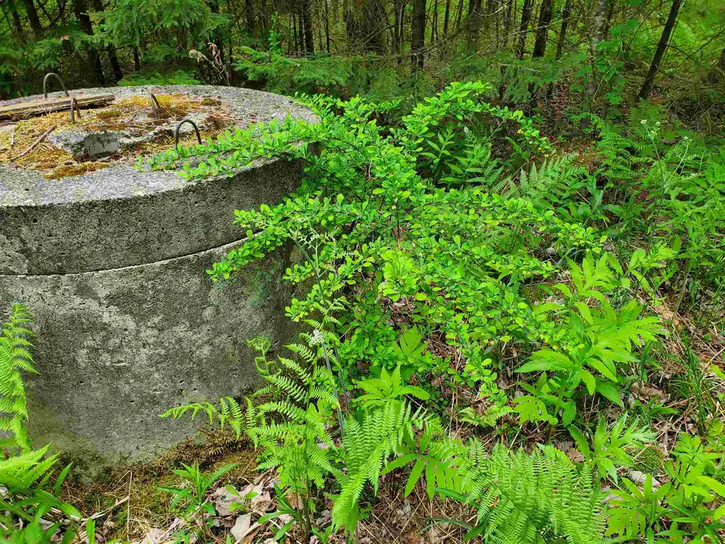 60 Kidder Road Bradford VT 05033