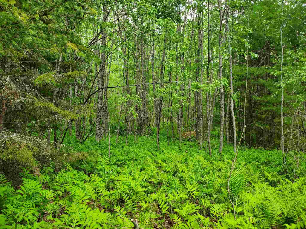 60 Kidder Road Bradford VT 05033