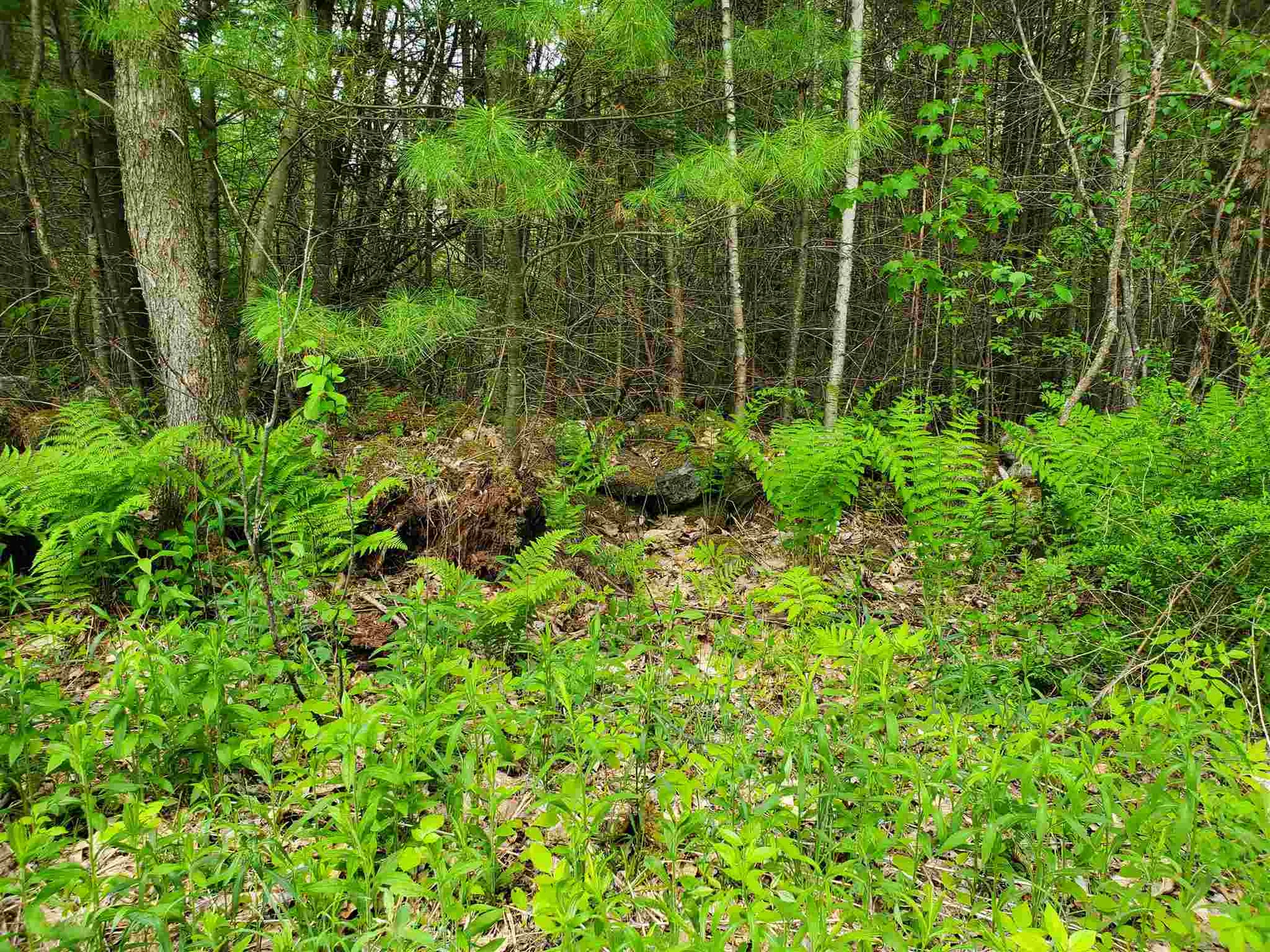 60 Kidder Road Bradford VT 05033