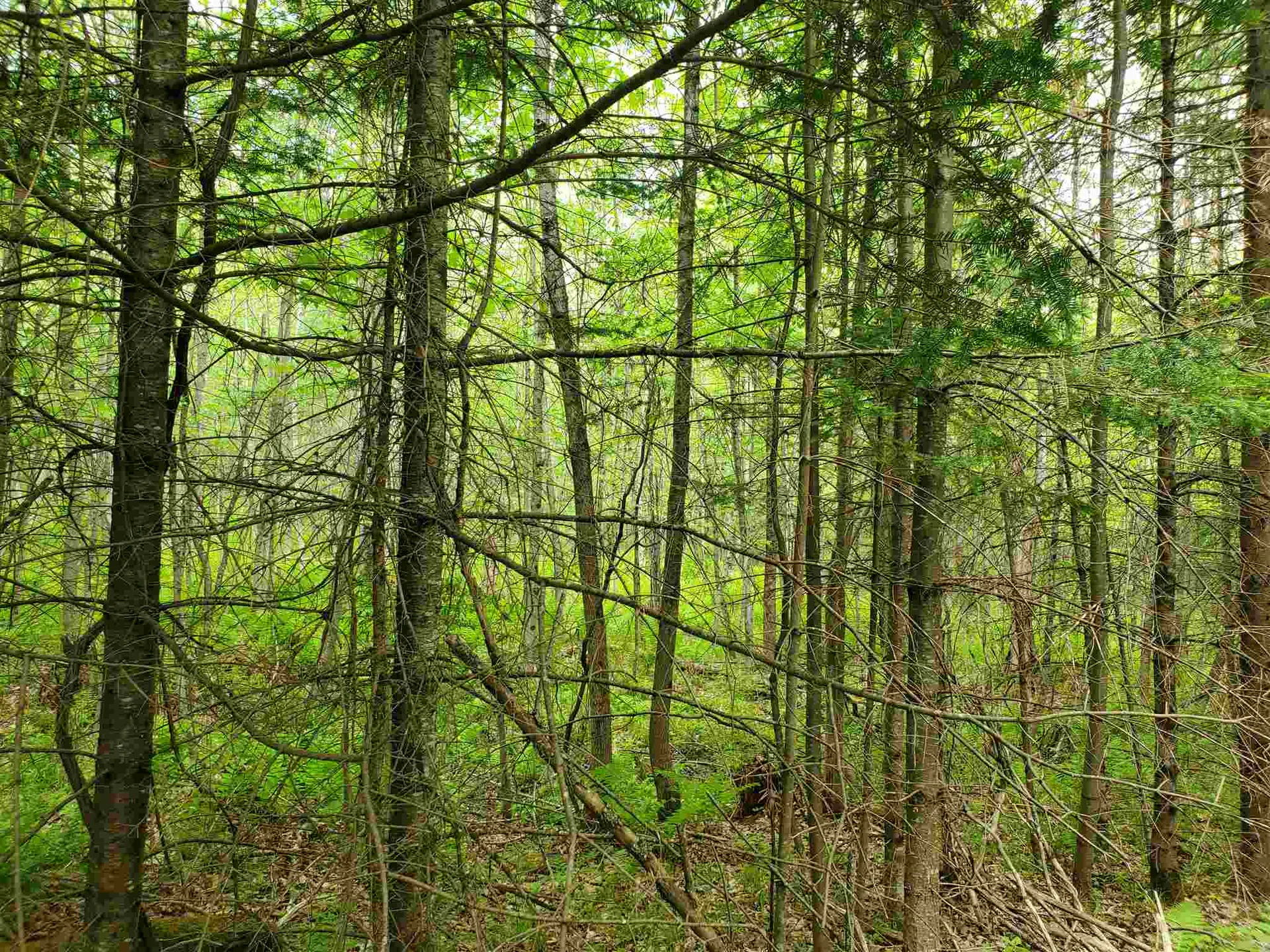 60 Kidder Road Bradford VT 05033