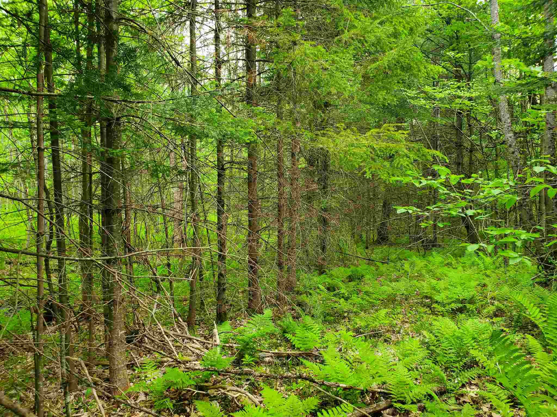 60 Kidder Road Bradford VT 05033