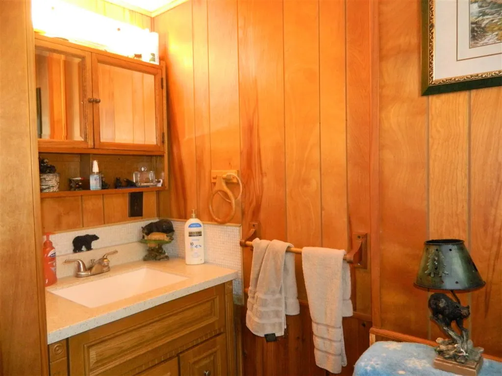 439 Deer Meadow Road Webster NH 03303