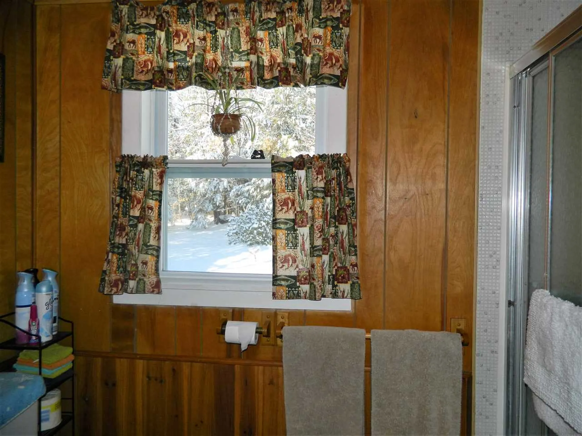 439 Deer Meadow Road Webster NH 03303