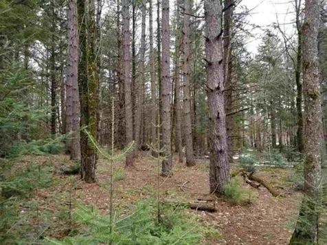 2201 Robtoy Road Lowell VT 05847