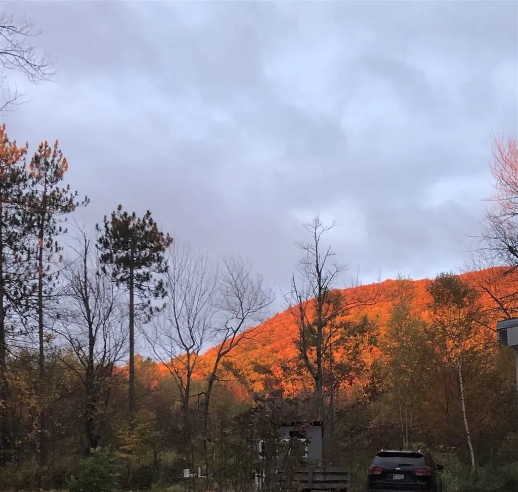 391 West Road Temple NH 03084