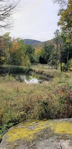 267 Old Post Road Newbury NH 03255