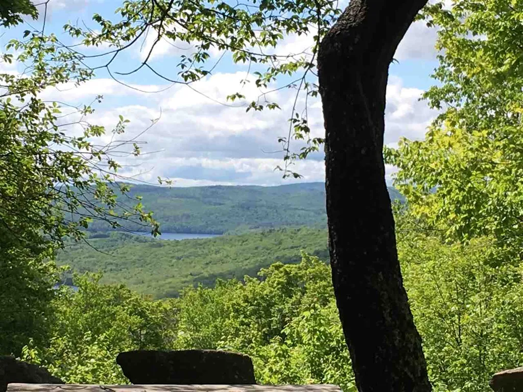 Scattered Timber Road Wilmington VT 05363