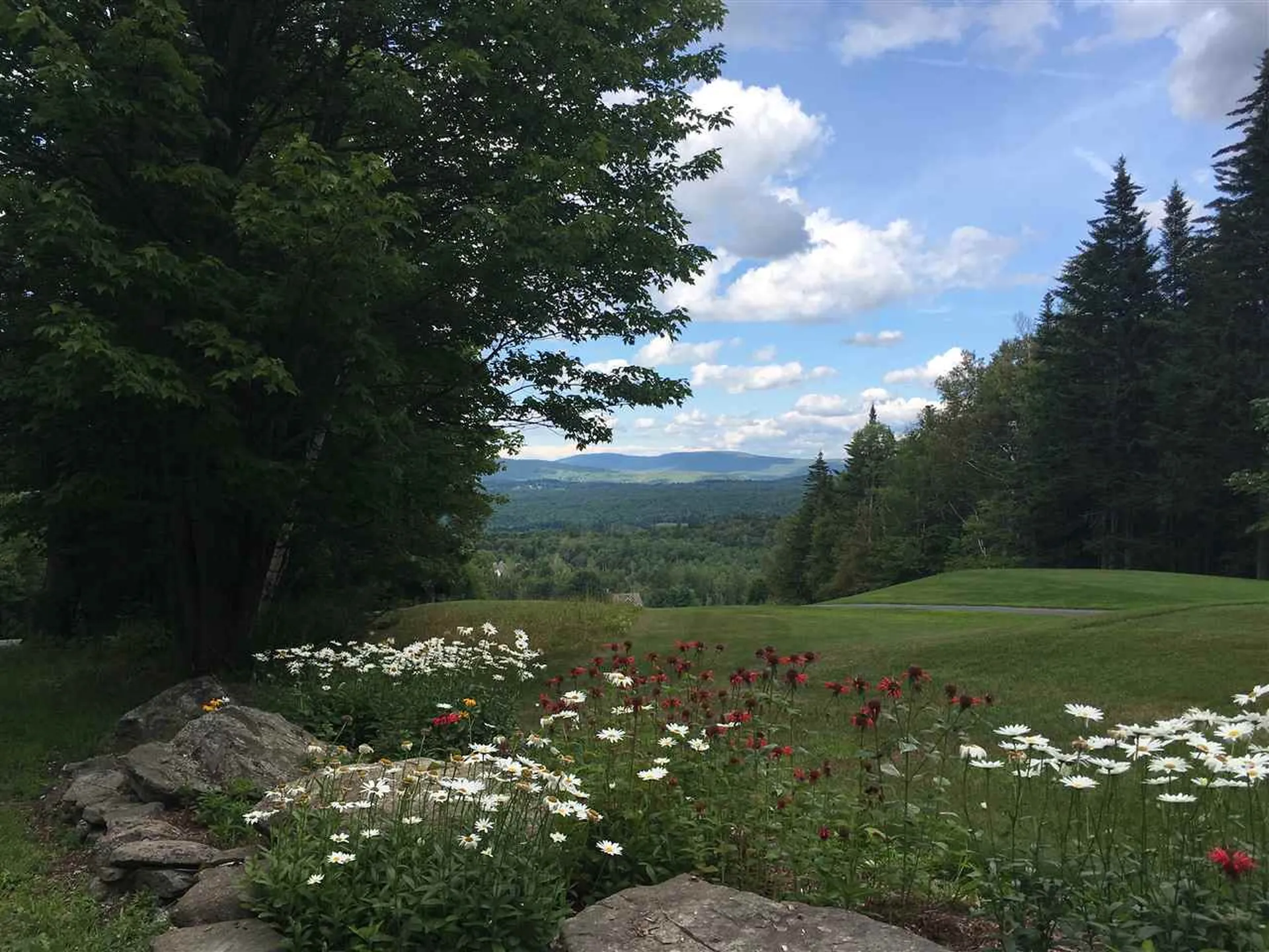 Scattered Timber Road Wilmington VT 05363