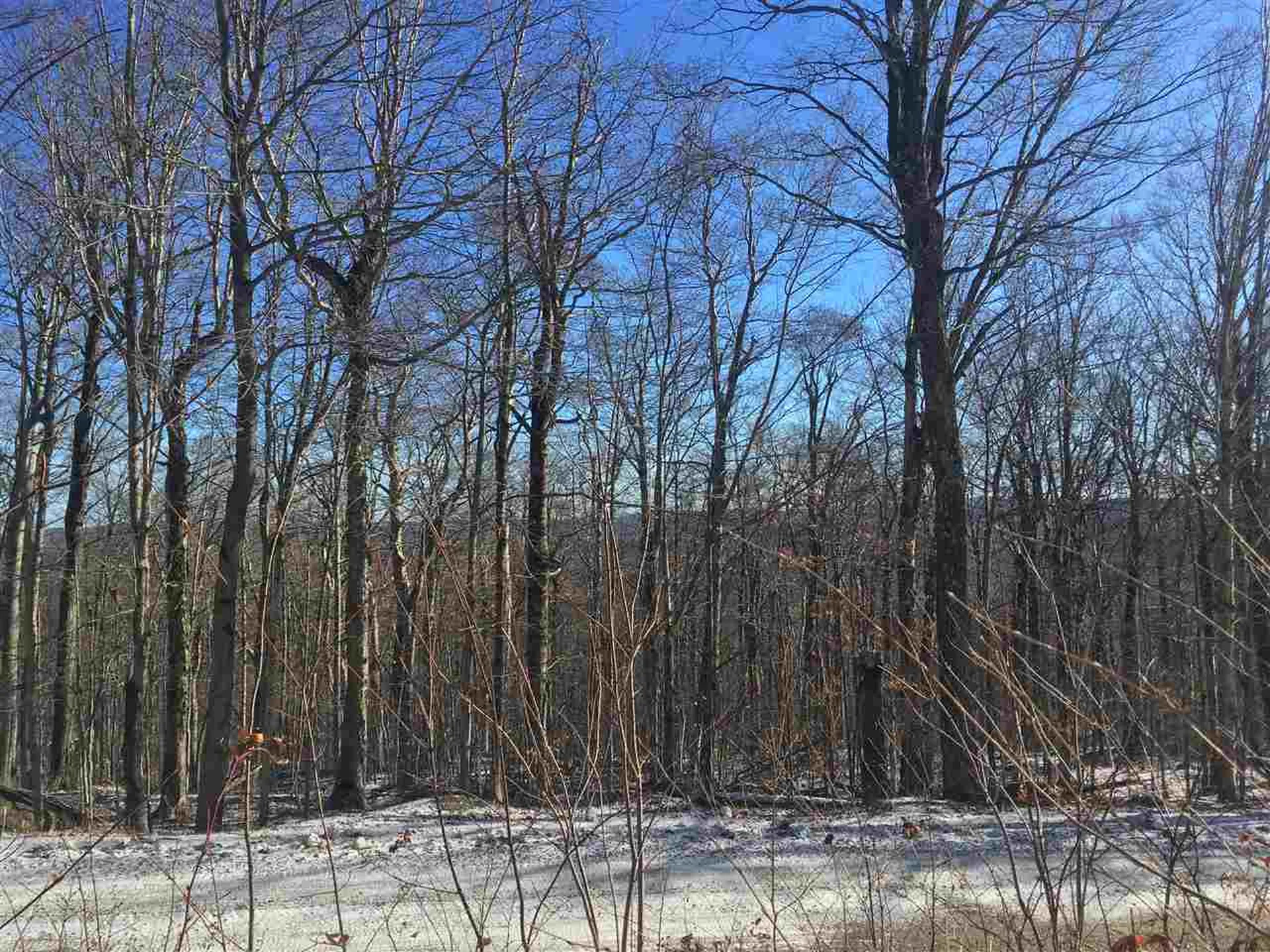 Scattered Timber Road Wilmington VT 05363