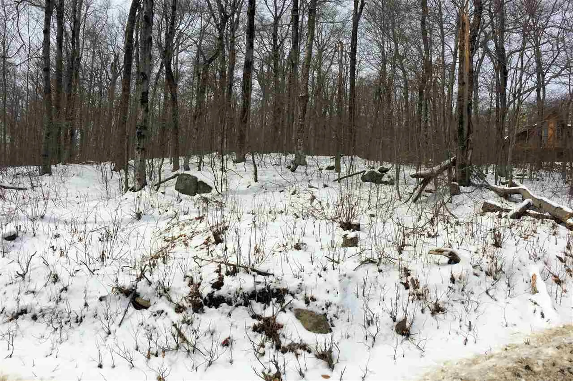 Scattered Timber Road Wilmington VT 05363