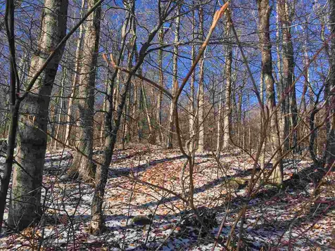 Scattered Timber Road Wilmington VT 05363