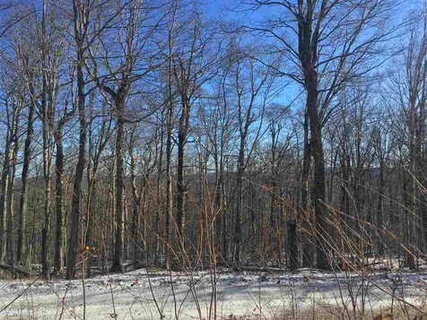 Scattered Timber Road Wilmington VT 05363