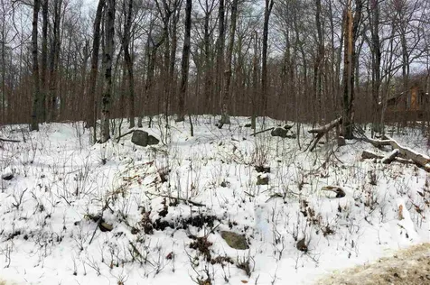Scattered Timber Road Wilmington VT 05363