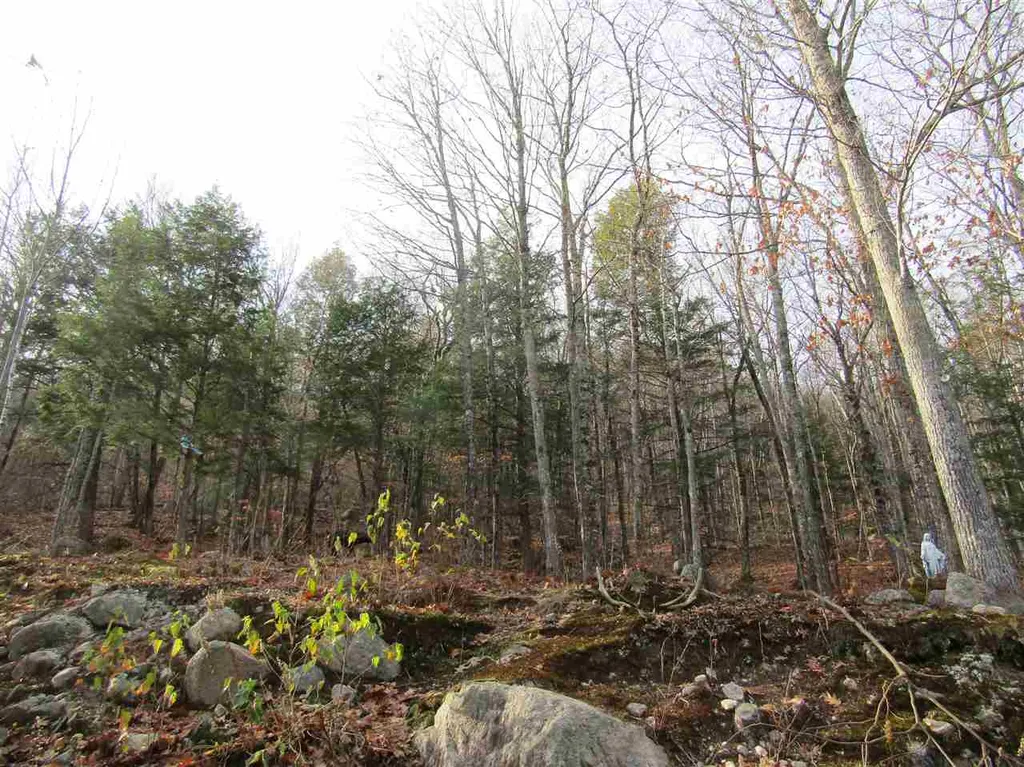 663 Kings Highway Middleton NH 03887