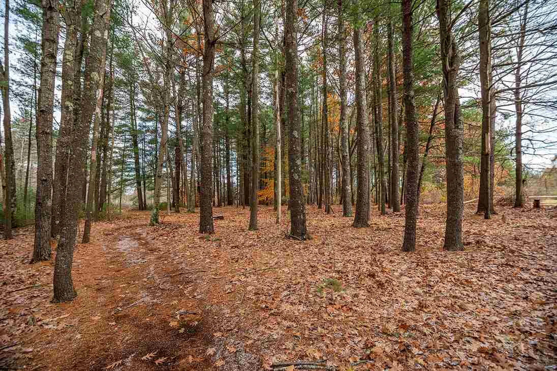 60 Stackpole Road Somersworth NH 03878