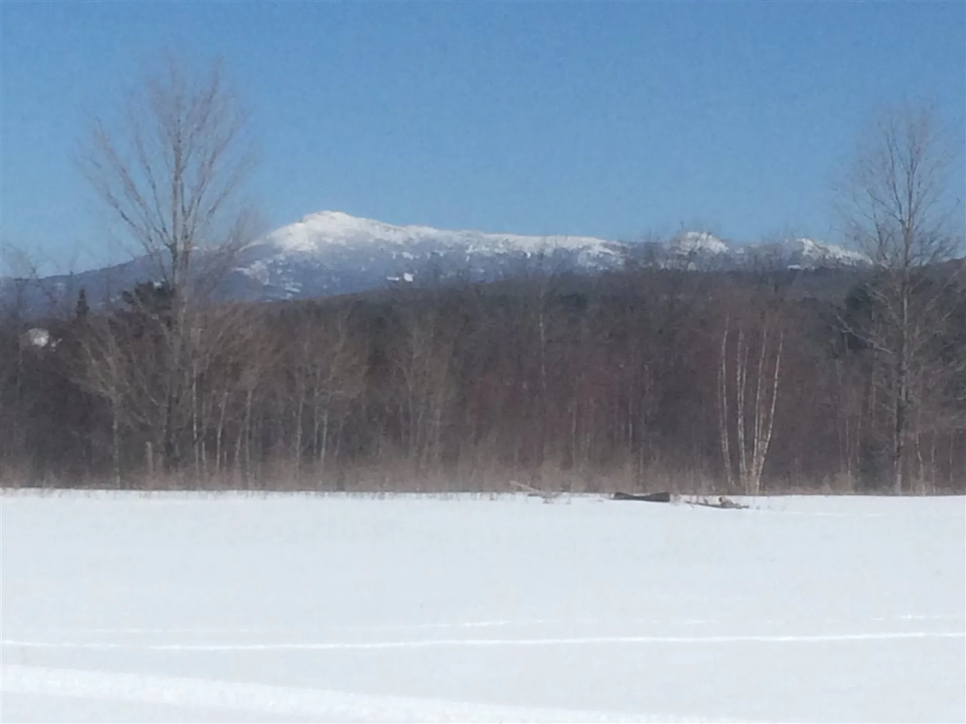 12 White Cedar Lane Jericho VT 05465