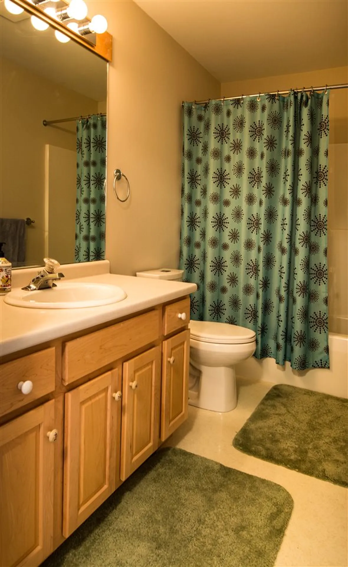 24 Pointe Drive Essex VT 05452
