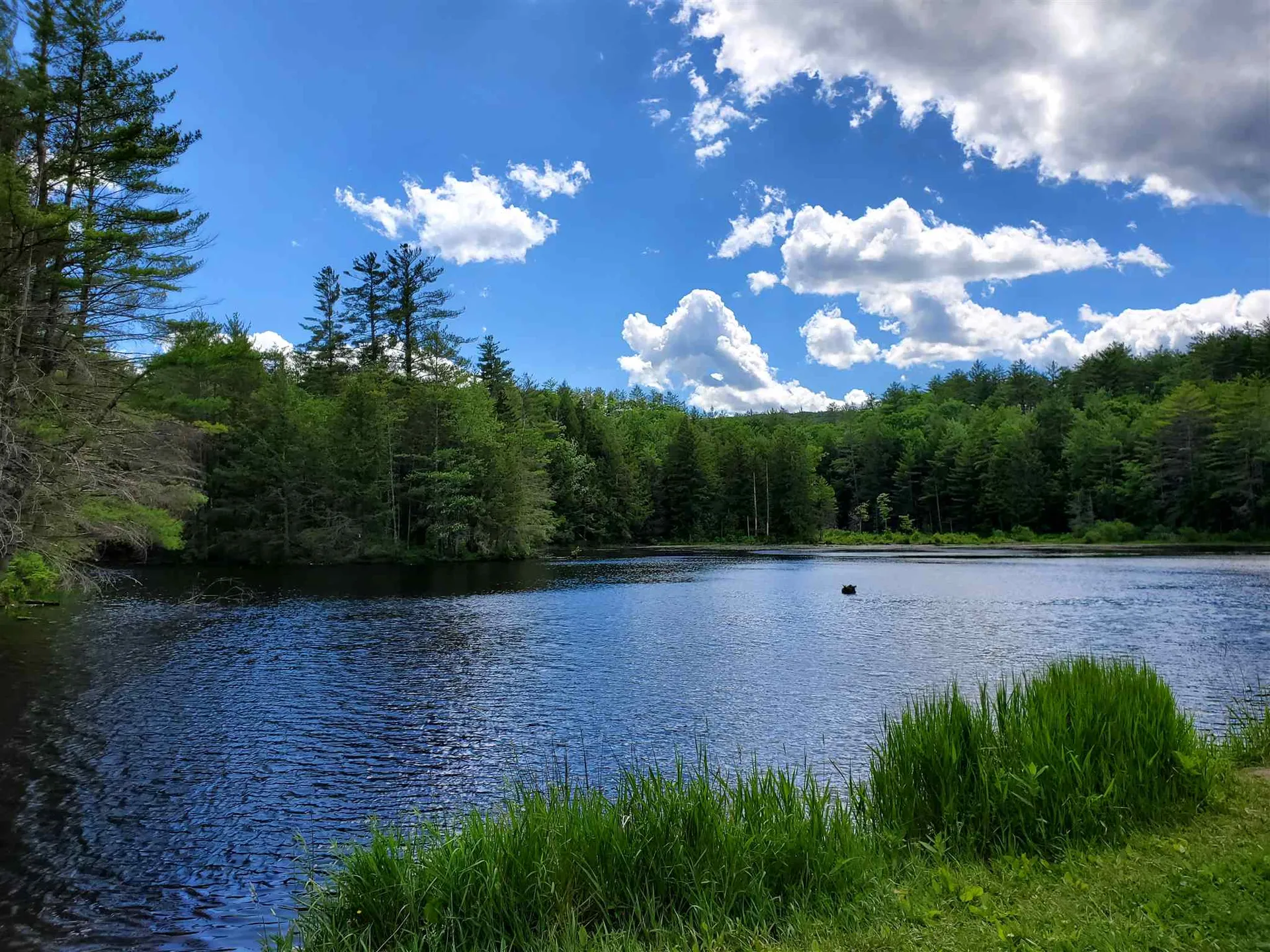 1924 Mattson Road Chester VT 05143