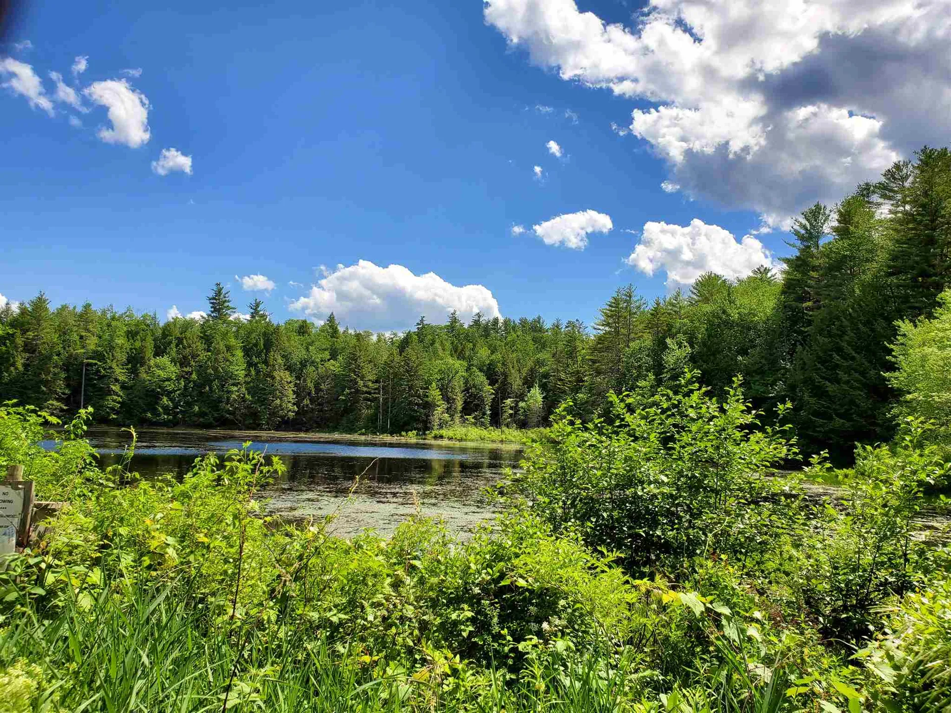 1924 Mattson Road Chester VT 05143