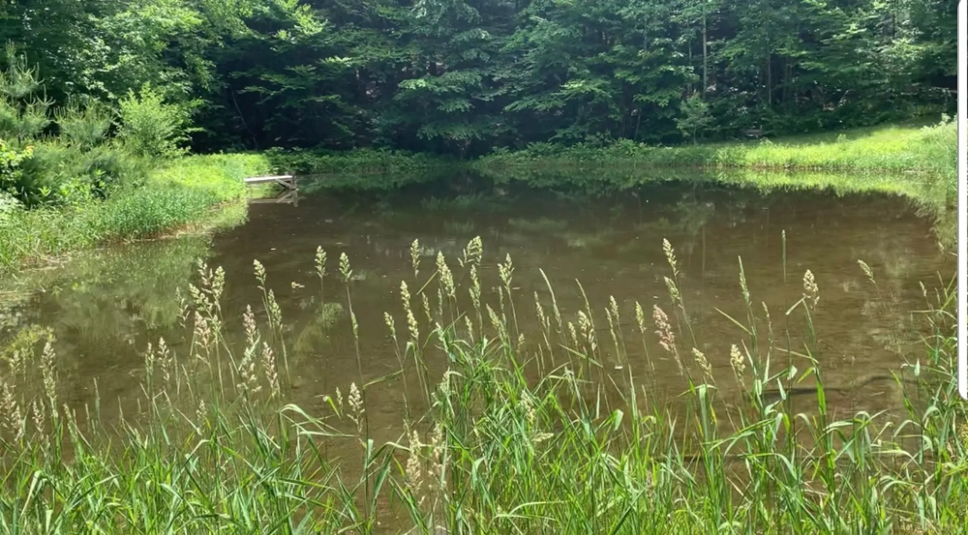 1924 Mattson Road Chester VT 05143