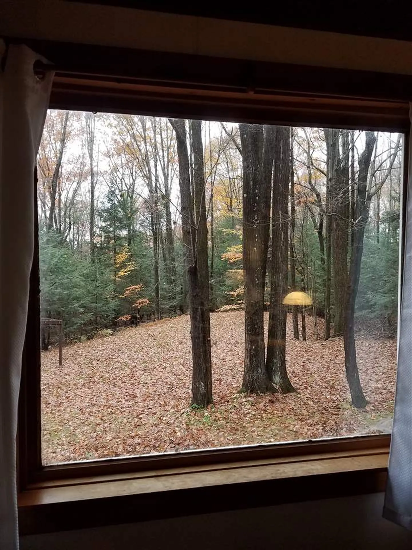 179 Partridgeberry Lane Swanzey NH 03446