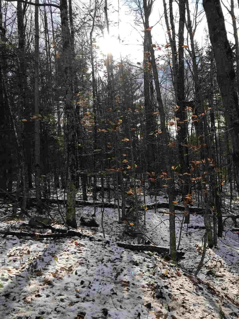 00 Loon Circle Londonderry VT 05148