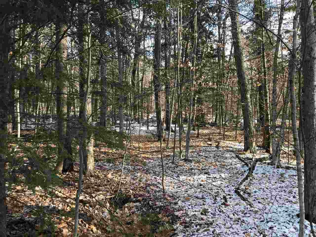 00 Loon Circle Londonderry VT 05148
