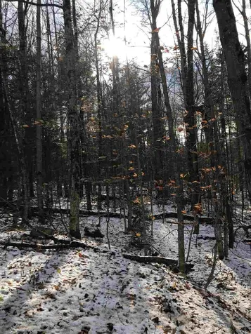 00 Loon Circle Londonderry VT 05148