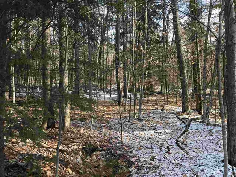 00 Loon Circle Londonderry VT 05148