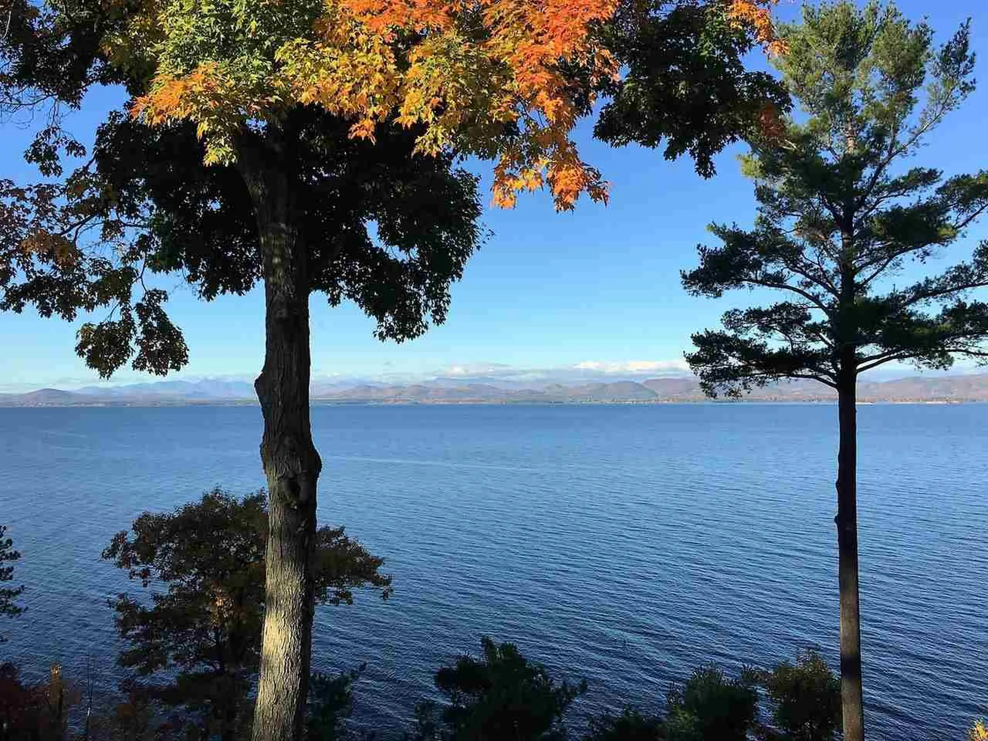 3611 Harbor Road Shelburne VT 05482