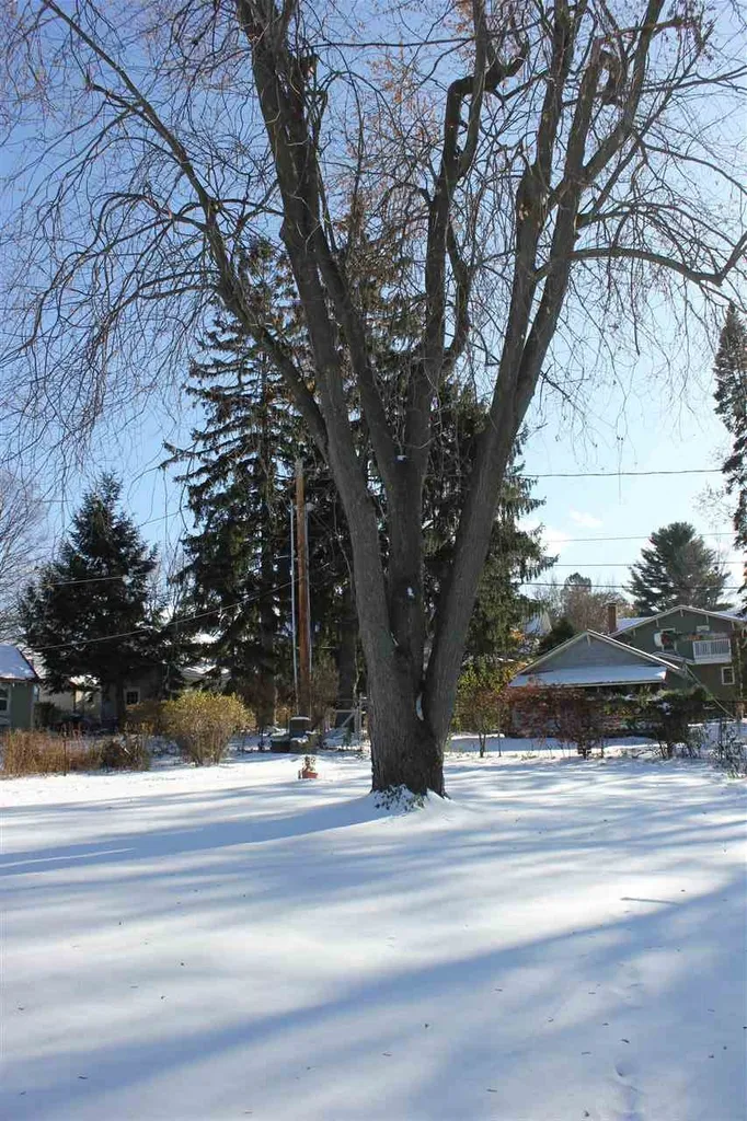 153 Lyman Avenue Burlington VT 05401