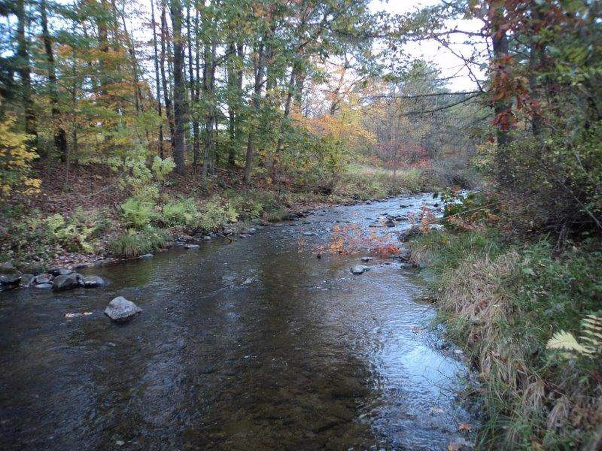 000 Snake Road Newbury VT 05051