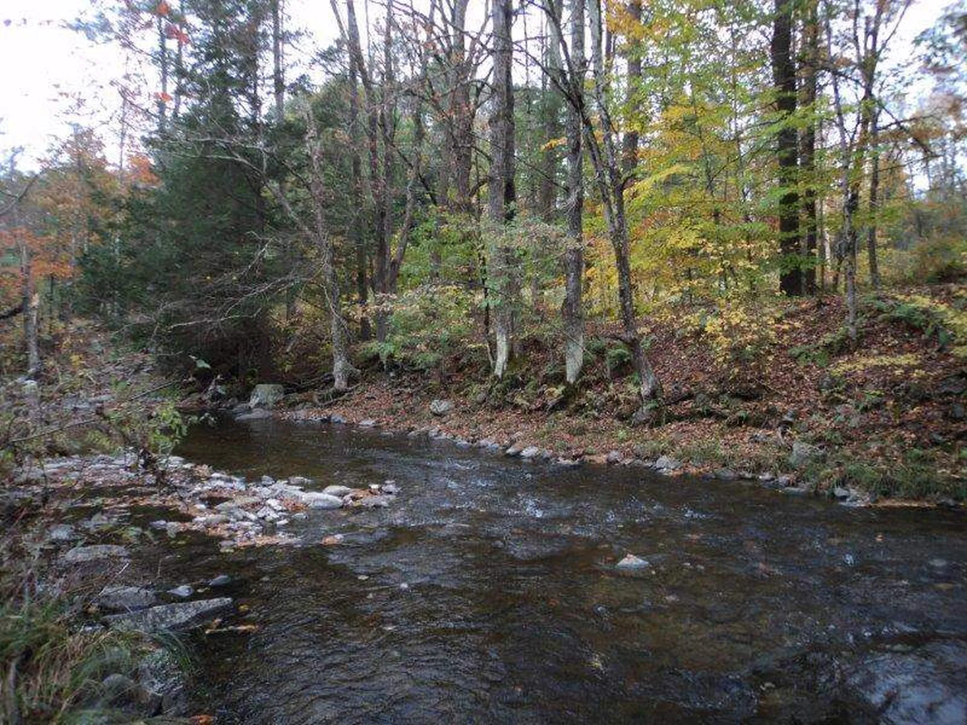 000 Snake Road Newbury VT 05051