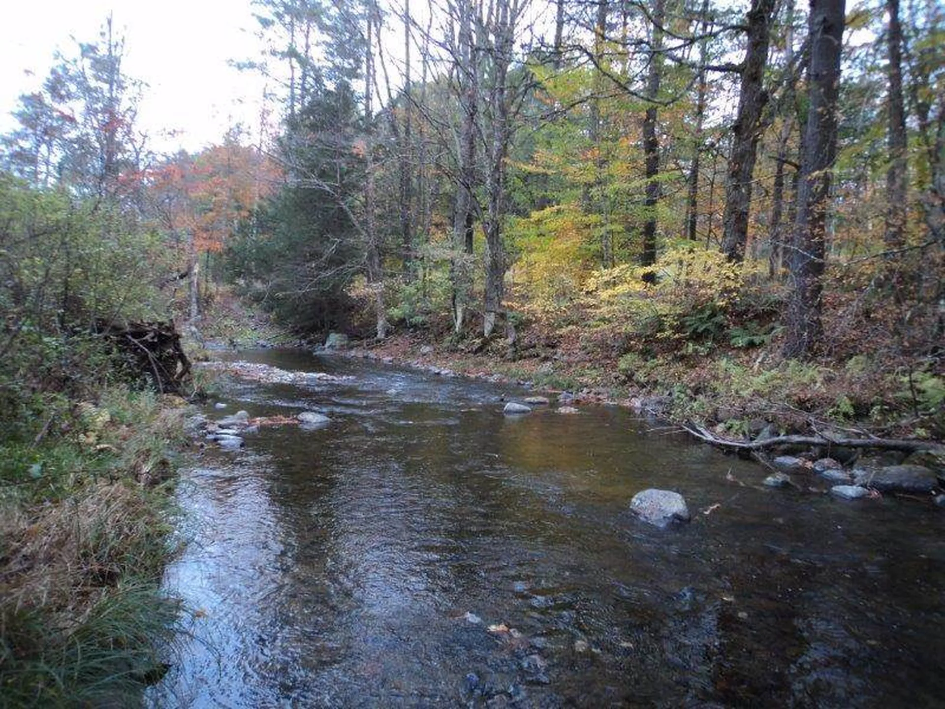 000 Snake Road Newbury VT 05051
