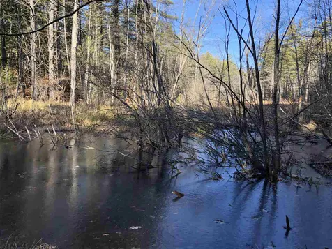 395 Green Mountain Road Effingham NH 03882