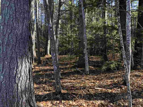 395 Green Mountain Road Effingham NH 03882