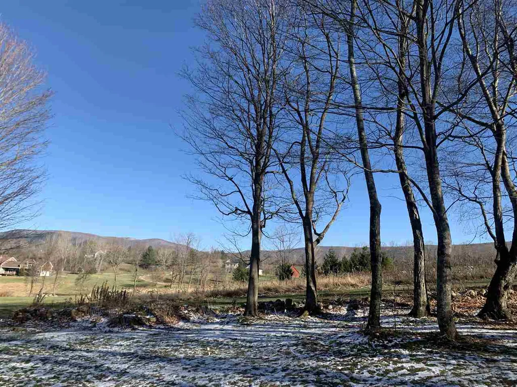 131 North Ridge Run Road Manchester VT 05255